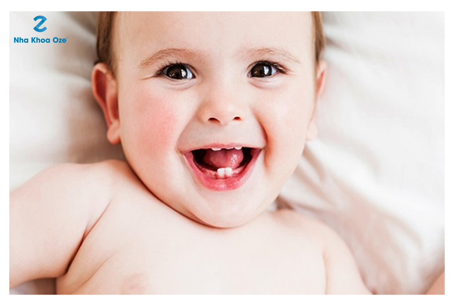 Những chiếc răng sữa xinh xinh của trẻ được mọc từ 6 tháng - 1 năm tuổi