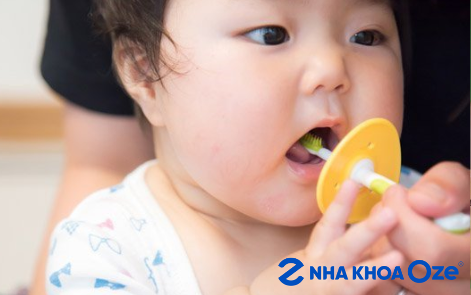 Nếu bé mọc đủ răng thì nên tạo thói quen đánh răng 2 lần/ngày