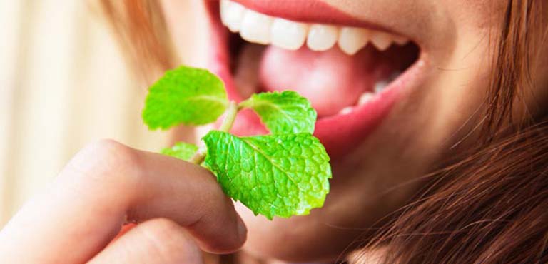 Chữa nhiệt miệng bằng bạc hà