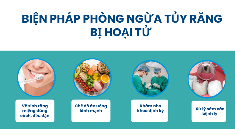 Làm sao để phòng ngừa tủy răng bị hoại tử?